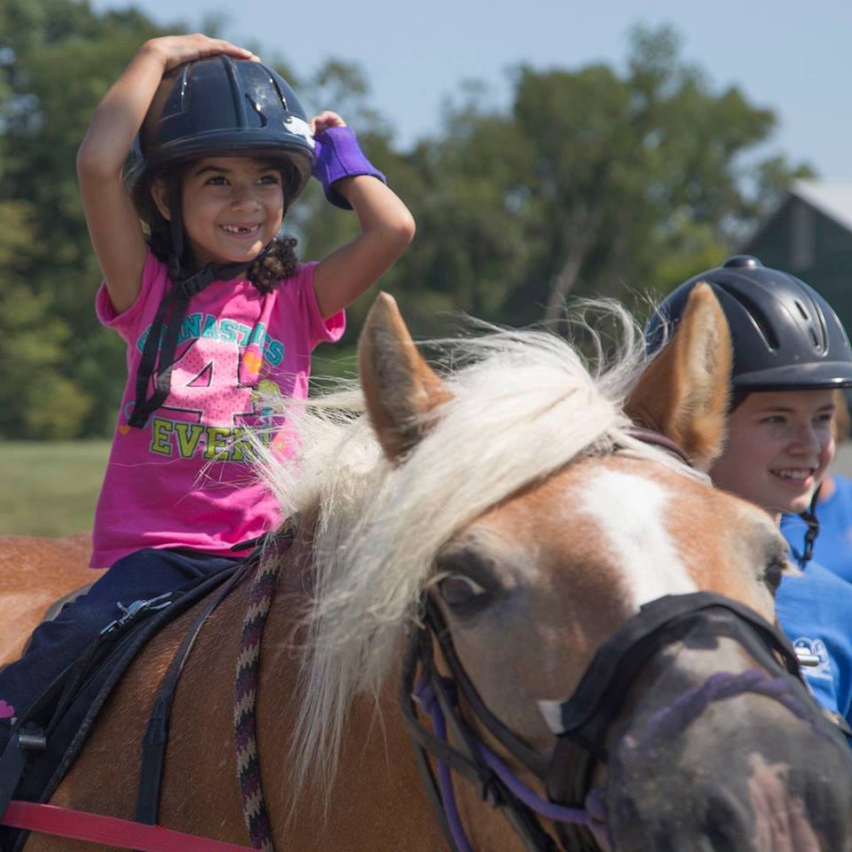 A little girl in a pink shirt riding a brown horse