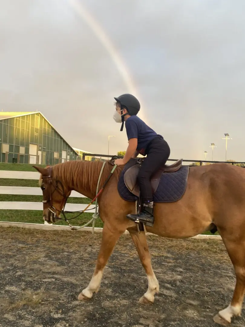 A little boy on a brown horse and a rainbow in the sky
